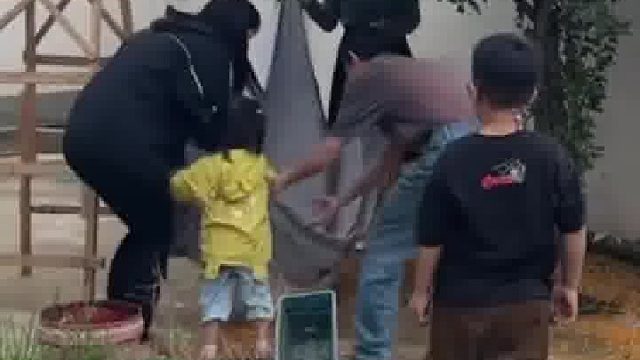 一家人团结协作收树上的桂花，儿女的一番操作令人现场尴尬…… 网友：儿子画龙点睛，女儿锦上添花