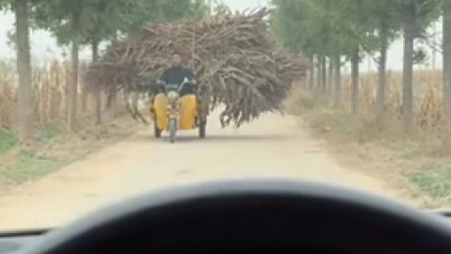 小伙开车停在乡间小路，迎面一辆满载玉米杆的三轮车！