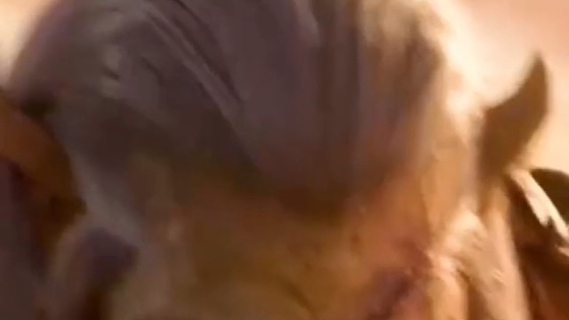 魔兽世界怀旧精彩动画6