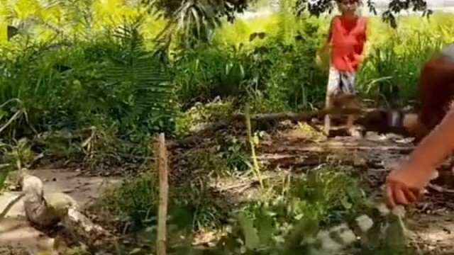 白衣男∶这蜥蜴咬人跟被人打了后脑一样