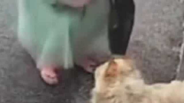 女子摸陌生狗狗，突然遭撕咬 面部受伤，当场倒地痛哭哀嚎