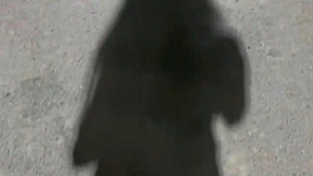 一开始，我不就是一个人吗？为什么不习惯了。