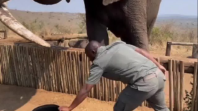 想知道那个护栏的意义是啥