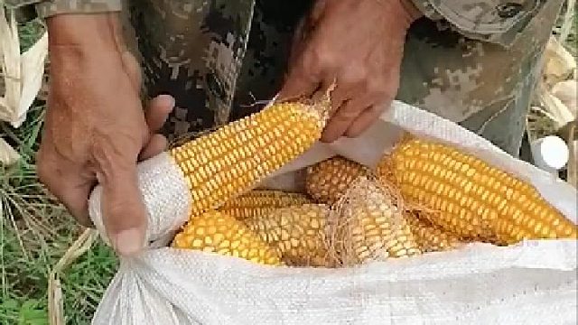 这打结方法还是实用