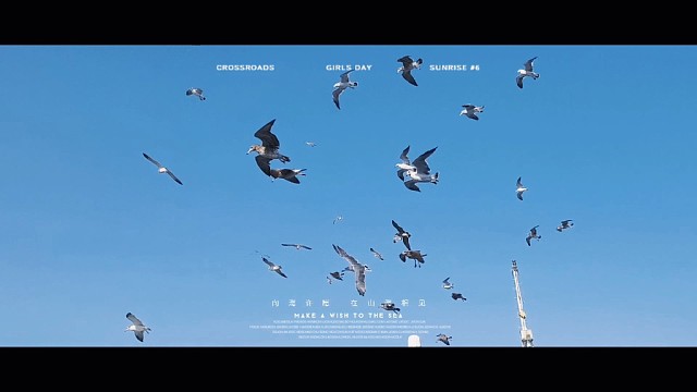 和大海有个约定吧