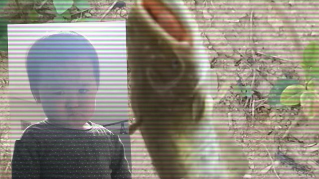 北方的朋友们你们好南方的鱼你们见过没