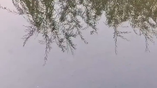 谁能拒绝这样的胖宝宝呢？