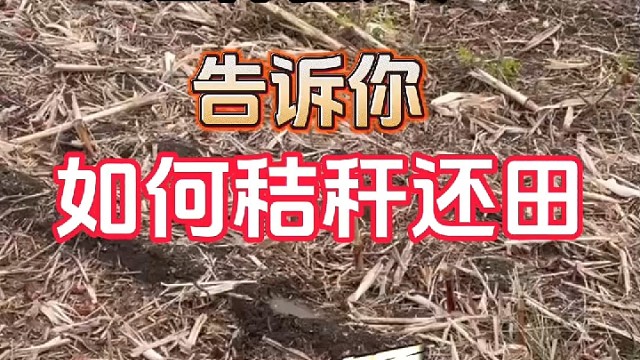 如何秸秆还田才更高质