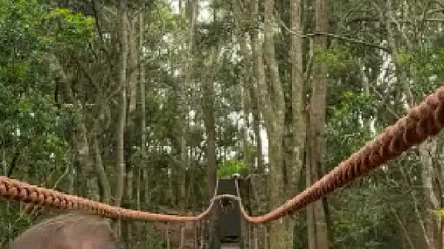 到他们头顶上方时，它还收了收脚！