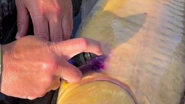 这年头不带点药  都不好意思出门钓鱼