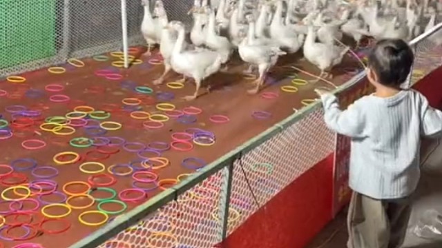 有一个都训练成职业病了