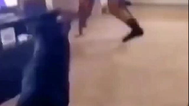 这是一只认死理的狗狗。