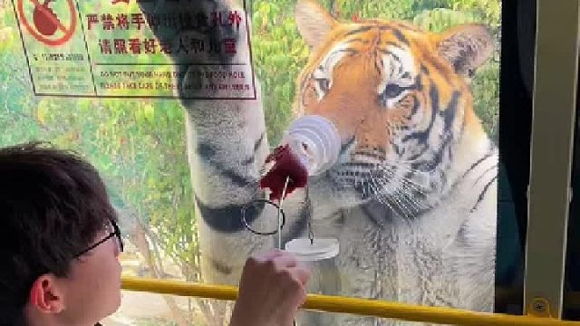 那个玻璃口经老虎冲击有炸裂的可能不？