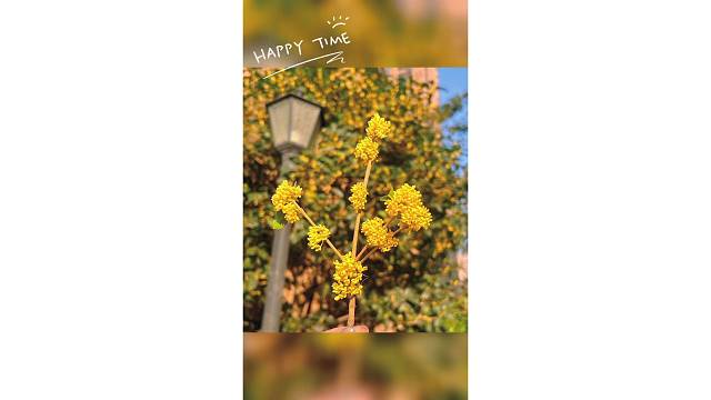 在热爱生活☀呀️