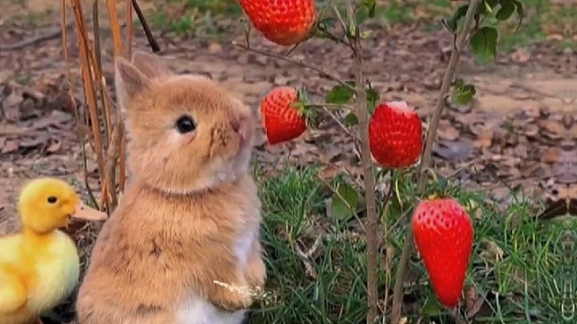 我发布了一个新视频，快来围观吧！