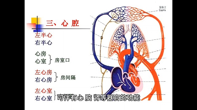 2症状#愿天下更健康更长寿