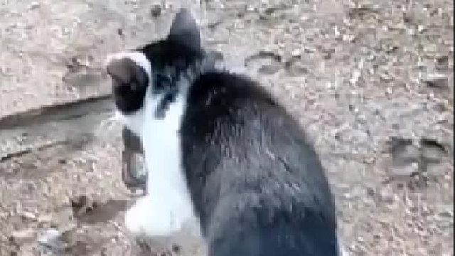 这又是怎么回事？？专家们能解释一下吗？