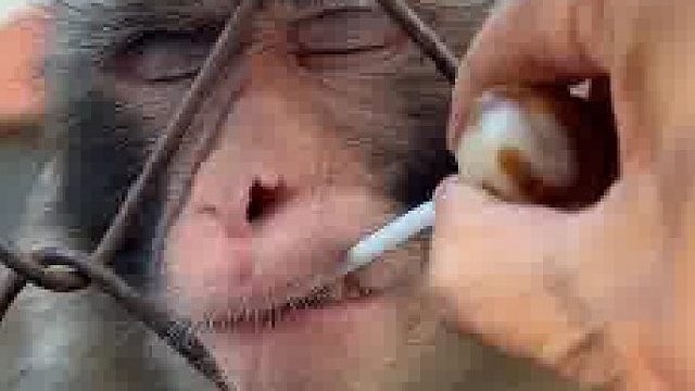 怎么能这么烦猴啊？