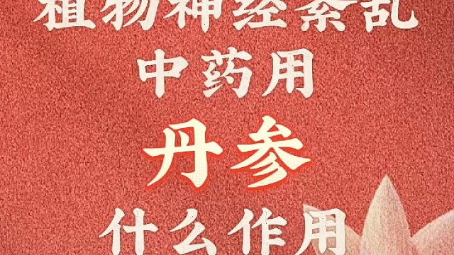 植物神经紊乱中医开方用中药用丹参效果显著