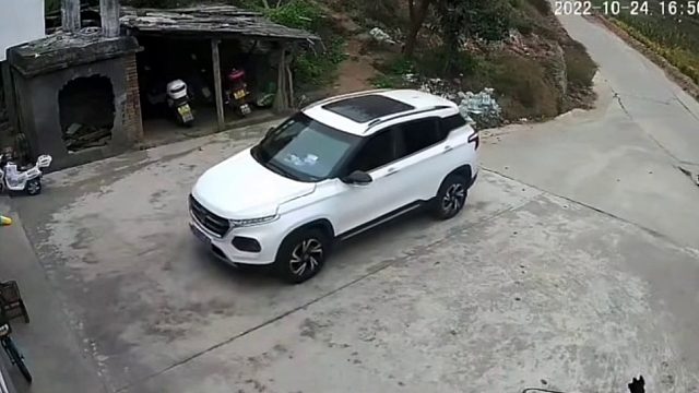 狗子：不是我推下去的与我无关！