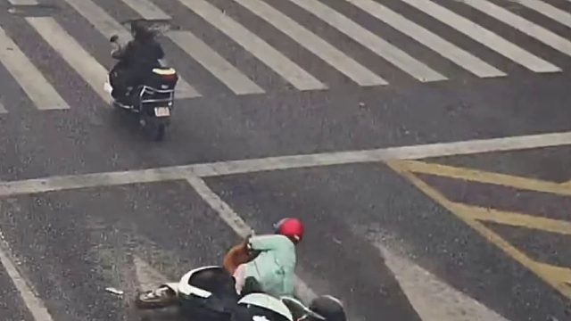 女子骑电动车车载宠物不料小狗跳车引发事故！