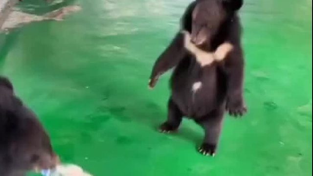 跳那两下子好像要去偷袈裟