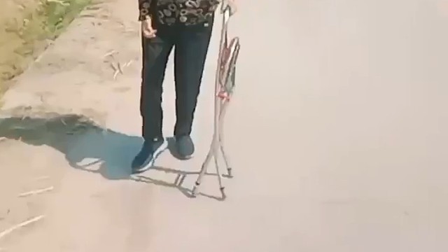 虽然现代医学对此做了不少研究，但基本是根据各种动物模型，初步从整体到细胞、分子，从形态到功能、代谢等