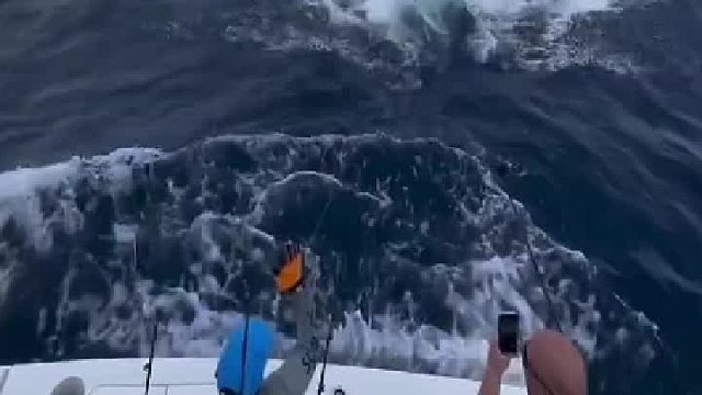 男子船上钓鱼被“袭击”，剑鱼：就你钓鱼啊，先吃我一剑。幸亏躲得快 不然全村吃席～