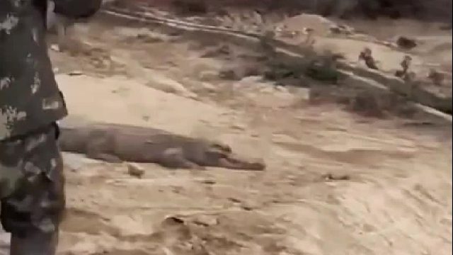 武功再高也怕菜刀呀