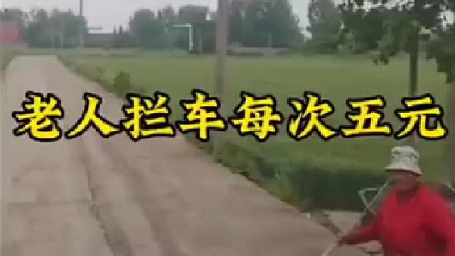 老太婆拦过路车，每次5元