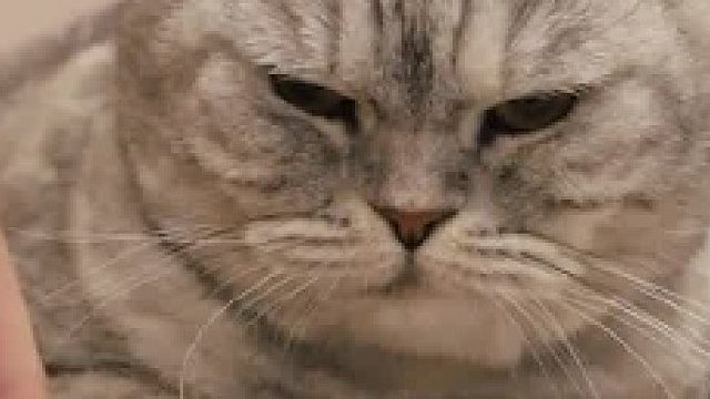 这个冬天不怕冷了