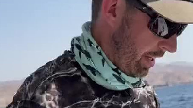 测试鱿鱼的牙齿有多厉害