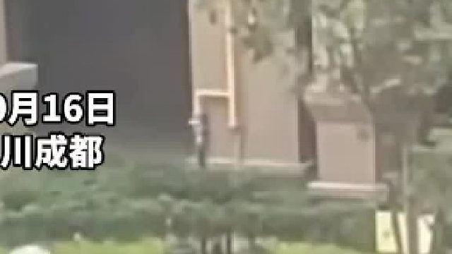 小区内大型犬未栓绳扑咬老人小孩