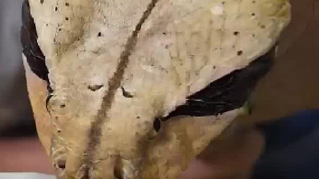 被它咬一下会怎么样？