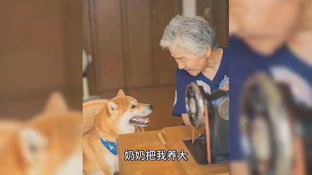 北派盗墓笔记——云峰（3）