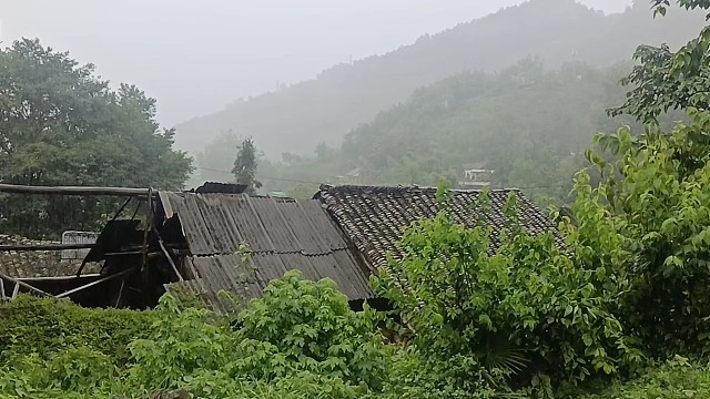 看看你们长大的地方