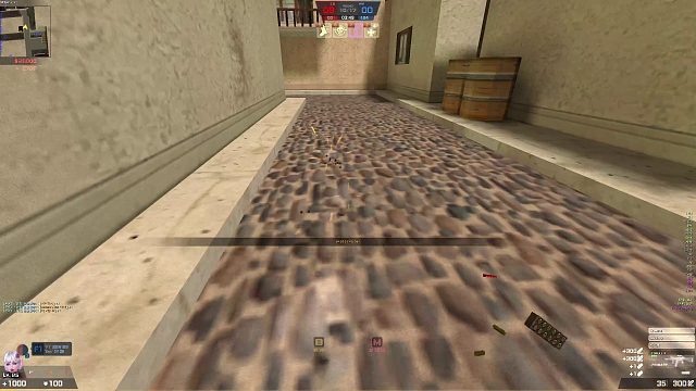 实验室生化Z英雄血量大削，1200 550护甲 反恐精英online CSOL