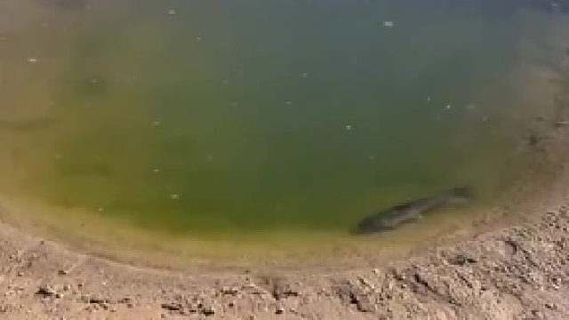 你不努力永远都被困在这里！