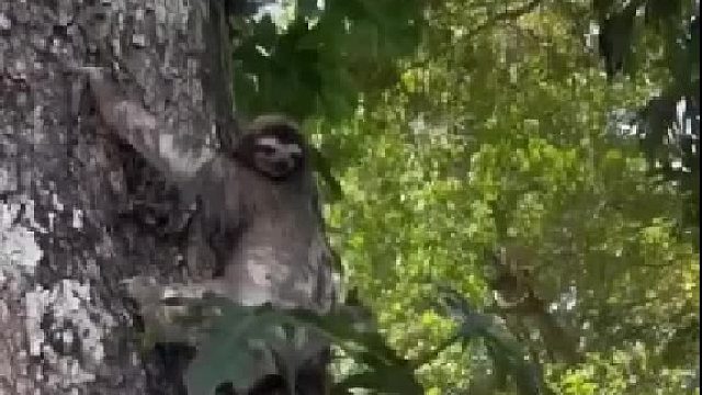 把———孩———子———还———给———我