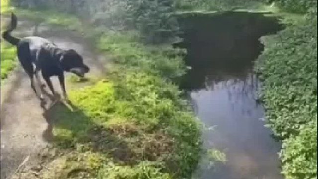 察觉情况不对，一丝慌乱之后，立马回头是岸[赞]