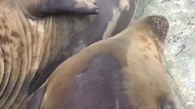 摸一摸两百多，给鱼！