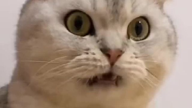 怕说不清楚赶紧扒拉走