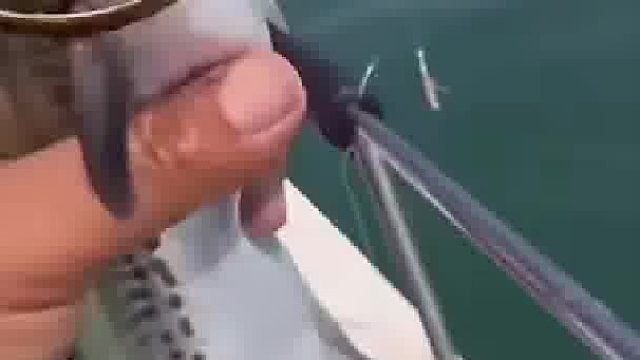 男子海钓钓中鲅鱼，鱼身上居然还卡着一个大金镯