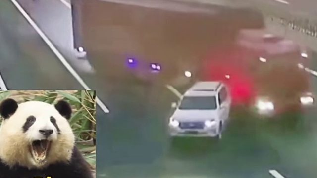 实绩变道被撞后竟说：这怎么是我的责任呢？