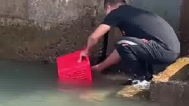 鱼：只要你努力，就会有人拉你上岸……