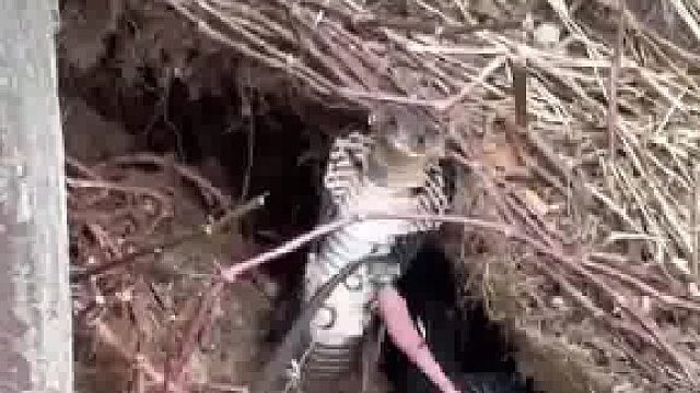 人有时候不能太无知啊