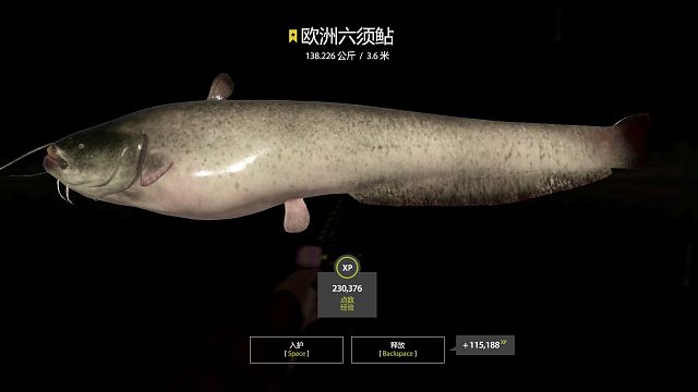 水深猪适中，欢乐十分钟。