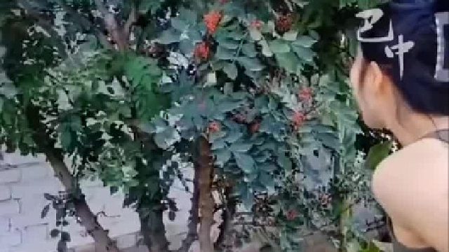 网友：你摘一个尝尝嘛