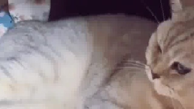 事不过三，这是你自找的