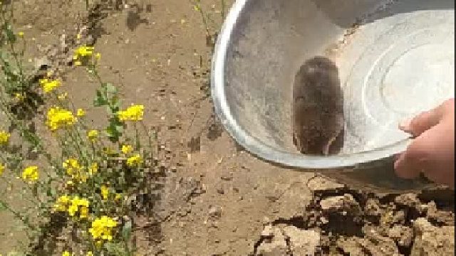 下地就开工，一秒都没闲着